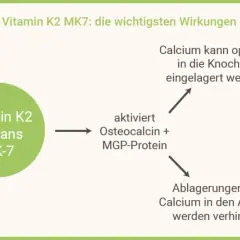 Die überraschenden Vorteile von K2MK7 Vitamin für Ihre Gesundheit