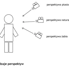 Plany filmowe: Jak reżyserzy sterują twoimi emocjami?