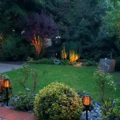 Oświetlenie ogrodu inspiracje: magiczny ogród nocą, rozświetlone krzewy, drzewa i ścieżki tworzą przytulną atmosferę.