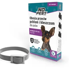 Obroża czy krople na pchły – co jest skuteczniejsze dla Twojego pupila?