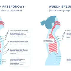 Ilustracja pokazuje, jak prawidłowo oddychać: wdech przeponowy i brzuszny. Diagramy porównują ruchy klatki piersiowej i brzucha.