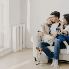Jak przyzwyczaić psa do nowego mieszkania i uniknąć stresu?