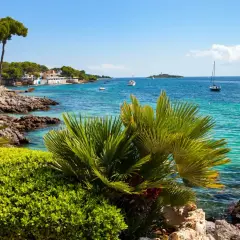 Palmen und üppiges Grün säumen den felsigen Küstenabschnitt am Alcudia Strand. Türkisfarbenes Wasser schimmert, Boote treiben auf dem Meer.