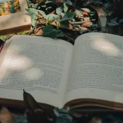Natura w tekstach kultury: Klucz do zrozumienia człowieka i świata?