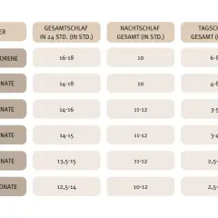 Schlaftabelle für ein Baby von 2-3 Monaten: Gesamt 14-18 Std., Nacht 10 Std., Tag 4-8 Std.
