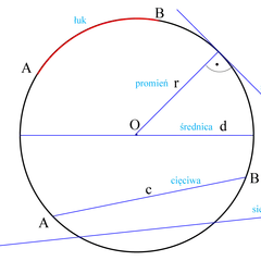 Ilustracja geometryczna z łukiem, promieniem, średnicą, cięciwą i sieczną. Obwód koła jest tu przedstawiony w kontekście tych elementów.