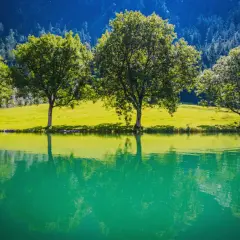 Zielona tafla jeziora odbija drzewa i wzgórze. Kompozycja horyzontalna z górami w tle.