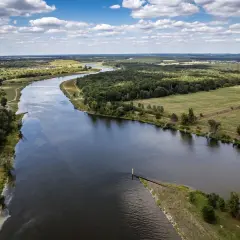 Malowniczy widok na rzekę i tereny zielone, idealne na spacer z psem. Psie pole Wrocław zaprasza!