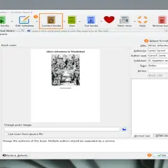 Fenêtre de conversion de livre dans Calibre. Le format de sortie PDF est sélectionné pour "Alice au pays des merveilles", un drm livre.