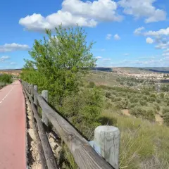 Un camino ciclista y peatonal, la **vía verde del Tajuña**, serpentea entre vegetación y un paisaje de olivos con un pueblo al fondo.