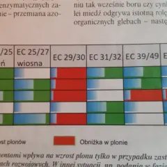 Plonvit zboża z czym łączyć, aby uniknąć błędów w uprawie