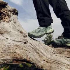 Zielone buty trekkingowe na pniu drzewa. Idealne, by wybrać się na wędrówkę po górach.