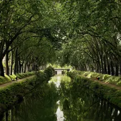 A serene canal du midi bike tour path lined with lush trees, their branches forming a green canopy over the tranquil water reflecting the scene.