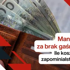 Portfel z polskimi banknotami. Jaki mandat za brak gaśnicy? Ile kosztuje zapominialstwo?