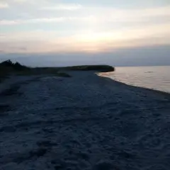 Spokojna, piaszczysta plaża o zmierzchu. W oddali widać zarośla trzciny i spokojne morze.
