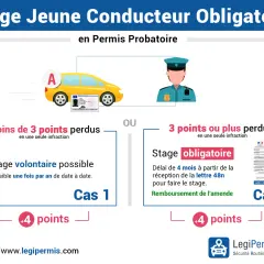Infographie expliquant le permis à point école pour jeunes conducteurs. Moins de 3 points perdus : stage volontaire possible. 3 points ou plus perdus : stage obligatoire.