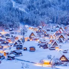 Ein verschneites Dorf in Japan im Winter. Traditionelle Häuser mit warmem Licht sind von schneebedeckten Bäumen umgeben.