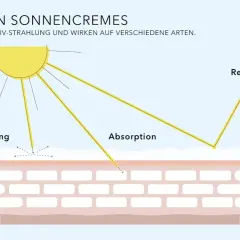 Sonnencreme mit Isoamyl p-methoxycinnamate schützt die Haut durch Streuung, Absorption und Reflexion von UV-Strahlen.