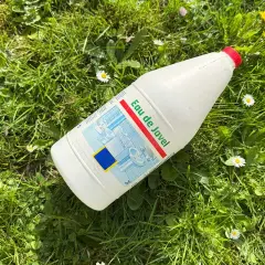 Bouteille d'eau de Javel posée dans l'herbe, parmi des pâquerettes. Un désherbant maison qui peut aussi servir pour le ménage.