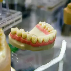 Modello di dentiera mobile con denti bianchi e gengive rosa su un piano di vetro.