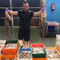 Hombre muestra dos pulpos grandes, celebrando la temporada pulpo. Cajas llenas de pulpos y calamares esperan en el muelle.