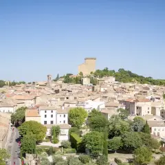 Vue panoramique de Châteauneuf-du-Pape, village pittoresque sur la route des vins, avec son château médiéval dominant les toits ocres et les vignobles.