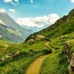 Un sendero serpentea por un prado alpino lleno de flores amarillas, con imponentes montañas nevadas al fondo. ¡Perfecto para rutas en Guadalajara!