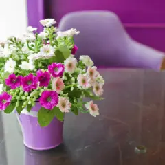 Kwiaty na komunię? Zasady, alternatywy i savoir-vivre gościa
