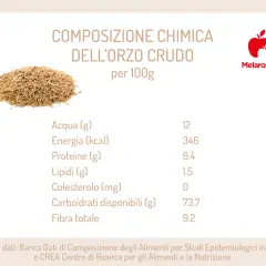 Composizione chimica dell'orzo crudo: scopri le proprietà dell'orzo, con valori nutrizionali per 100g.