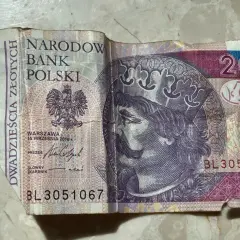 Czy w NBP można wymienić walutę? Oto co musisz wiedzieć