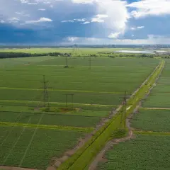 Co najbardziej opłaca się uprawiać? Odkryj zyski z upraw!