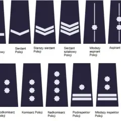 Inspektor policji: Kluczowe informacje o stopniu i wymaganiach w służbie
