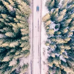 Droga przecinająca las, tworząc podział diagonalny. Widać rozmyty samochód i pojedynczą postać.