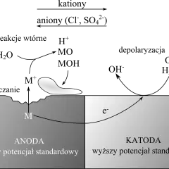 Schemat przedstawia proces korozji elektrochemicznej metalu. Anoda (niższy potencjał) ulega rozpuszczaniu, a elektrony migrują do katody (wyższy potencjał), gdzie zachodzi depolaryzacja.