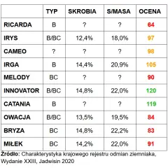 Najlepsze ziemniaki na frytki: wybierz odmianę B lub C!