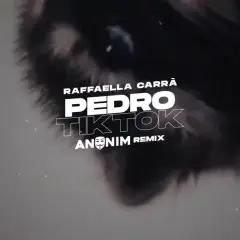 Kto śpiewa Pedro Pedro? Odkryj historię i remiksy tej piosenki
