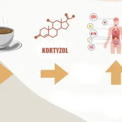 Kawa i jej wpływ na organizm. Czy kawa podnosi kortyzol? Schemat pokazuje związek między kawą, kortyzolem a układem hormonalnym człowieka.