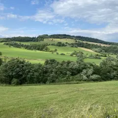 Zielone wzgórza Beskidu Niskiego, z drogą wijącą się pośród pól. W oddali widać najwyższy szczyt Beskidu Niskiego, porośnięty lasem.
