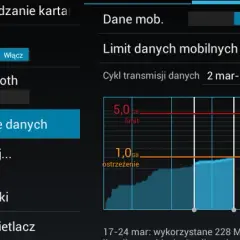 Jak oszczędzać internet mobilny i nie martwić się o limit danych