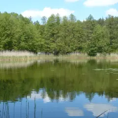 Jezioro Tuczno Kujawsko Pomorskie – raj dla miłośników przyrody