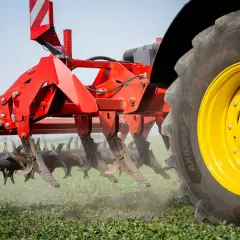 Aratro a dischi rosso in azione, che mostra diversi tipi di aratura su un campo verde. La ruota gialla del trattore è in primo piano.