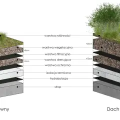 Przekrój dachu zielonego ekstensywnego z warstwami: roślinność, substrat, filtr, drenaż, ochrona, izolacja termiczna, hydroizolacja i strop.