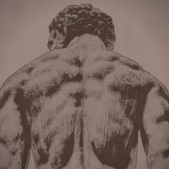 Schiena muscolosa di un uomo, forse la madre di Ercole, vista da dietro.