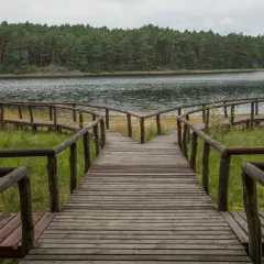 Drewniana kładka rozwidla się nad jeziorem w sercu Borów Tucholskich, prowadząc w głąb sosnowego lasu.