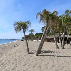 Piękny marbella beach z palmami, piaskiem i błękitnym niebem. W oddali widać molo i kilka osób odpoczywających na plaży.