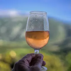 Un verre de vin rosé frais, avec des gouttes de condensation, tenu à la main devant un paysage de montagne flou. Un moment de détente avec un vin d'une région ensoleillée.