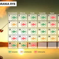 Pogoda na ryby: Jak czytać prognozy i łowić więcej?