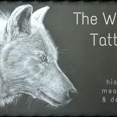 Portret wilka, inspiracja do tatuażu wilk, jego historia, znaczenie i wzory.