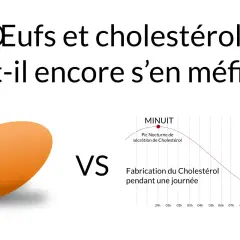 Œufs et cholestérol : faut-il encore s'en méfier ? Un œuf face à un graphique de la fabrication du cholestérol.