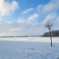Jezioro Kiedrowickie - idealne miejsce na relaks i wędkowanie